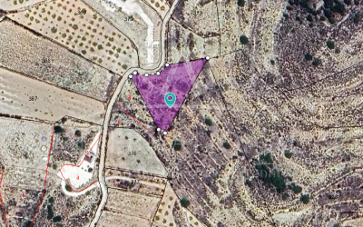 Land - For Sale - Pinoso - To be confirmed