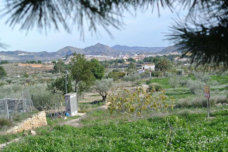 4 Sovrum Finca i Monovar