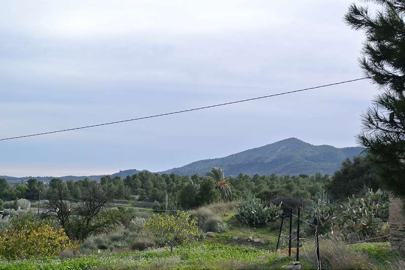 4 Sovrum Finca i Monovar