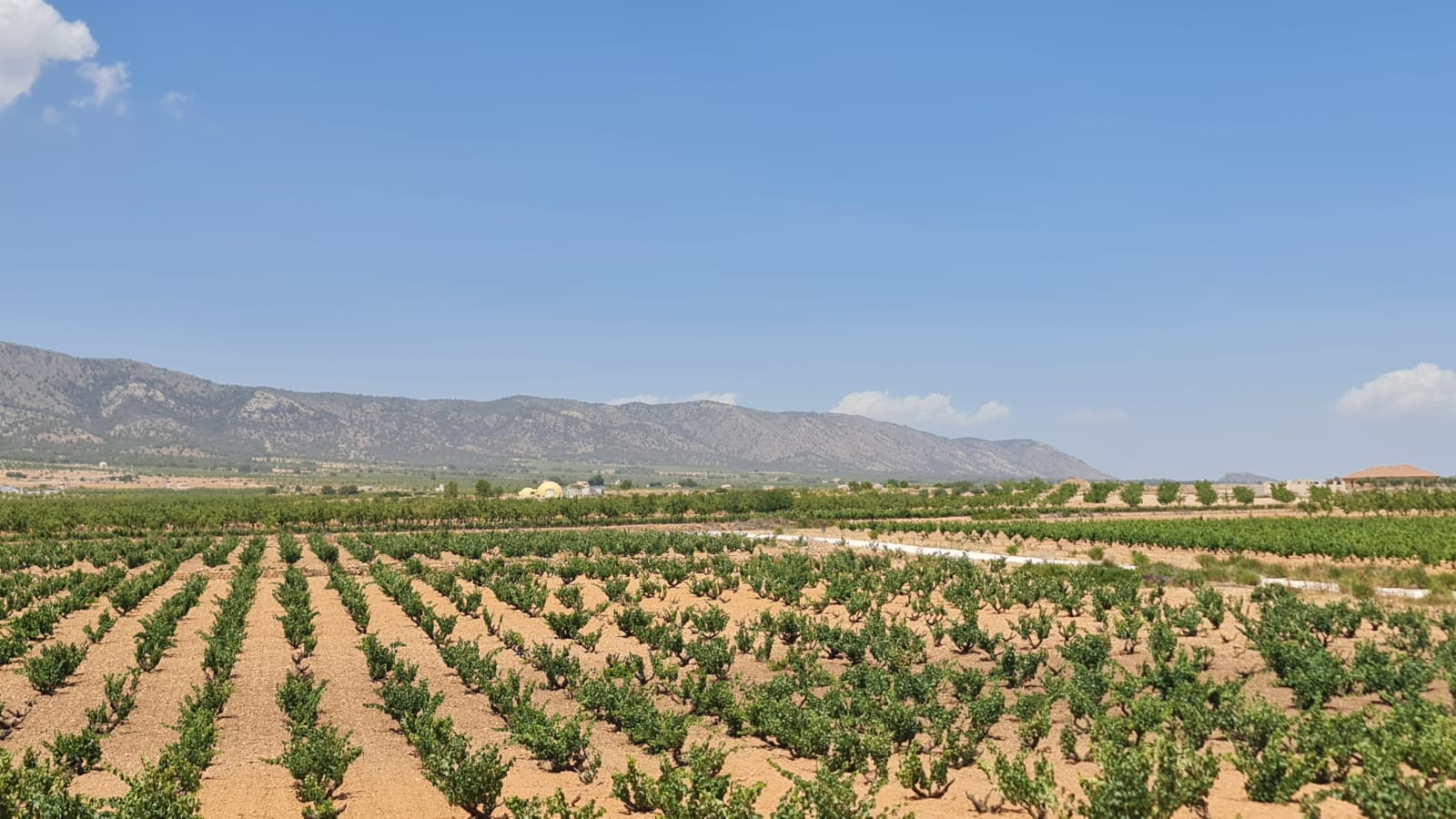 3 Chambre à coucher Villa in Pinoso