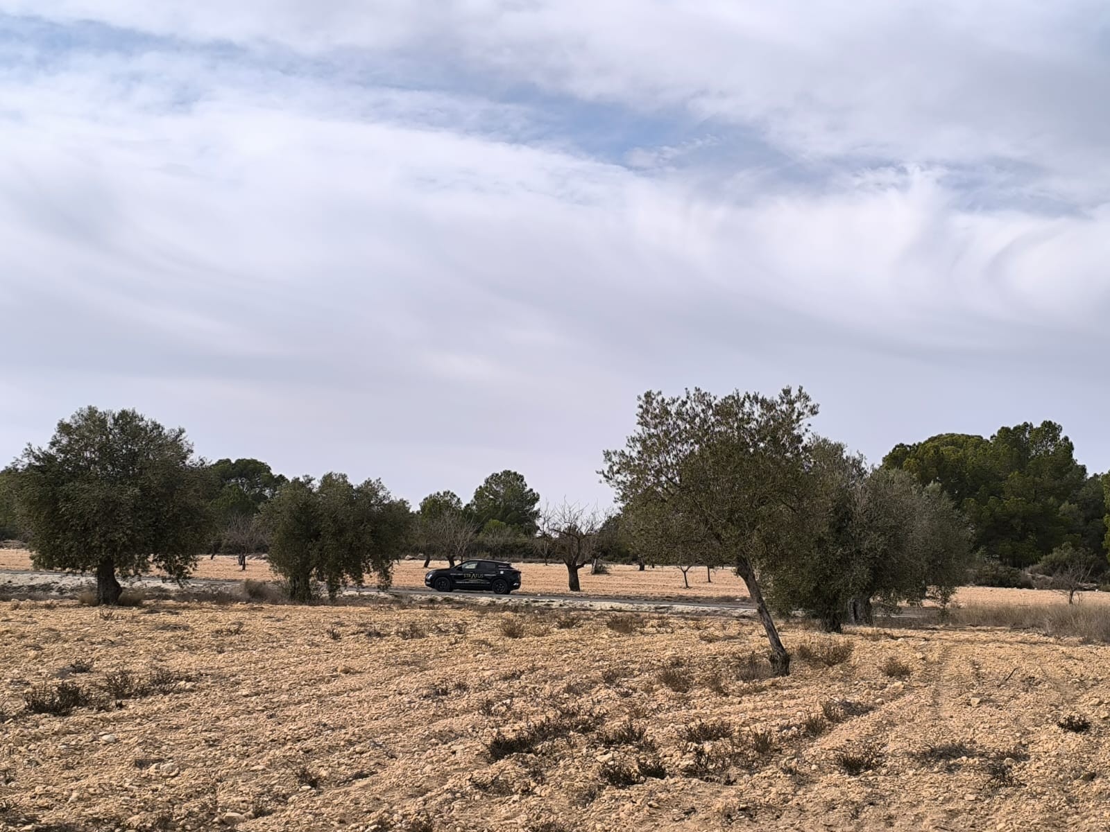 3 Soverom villa in Monovar