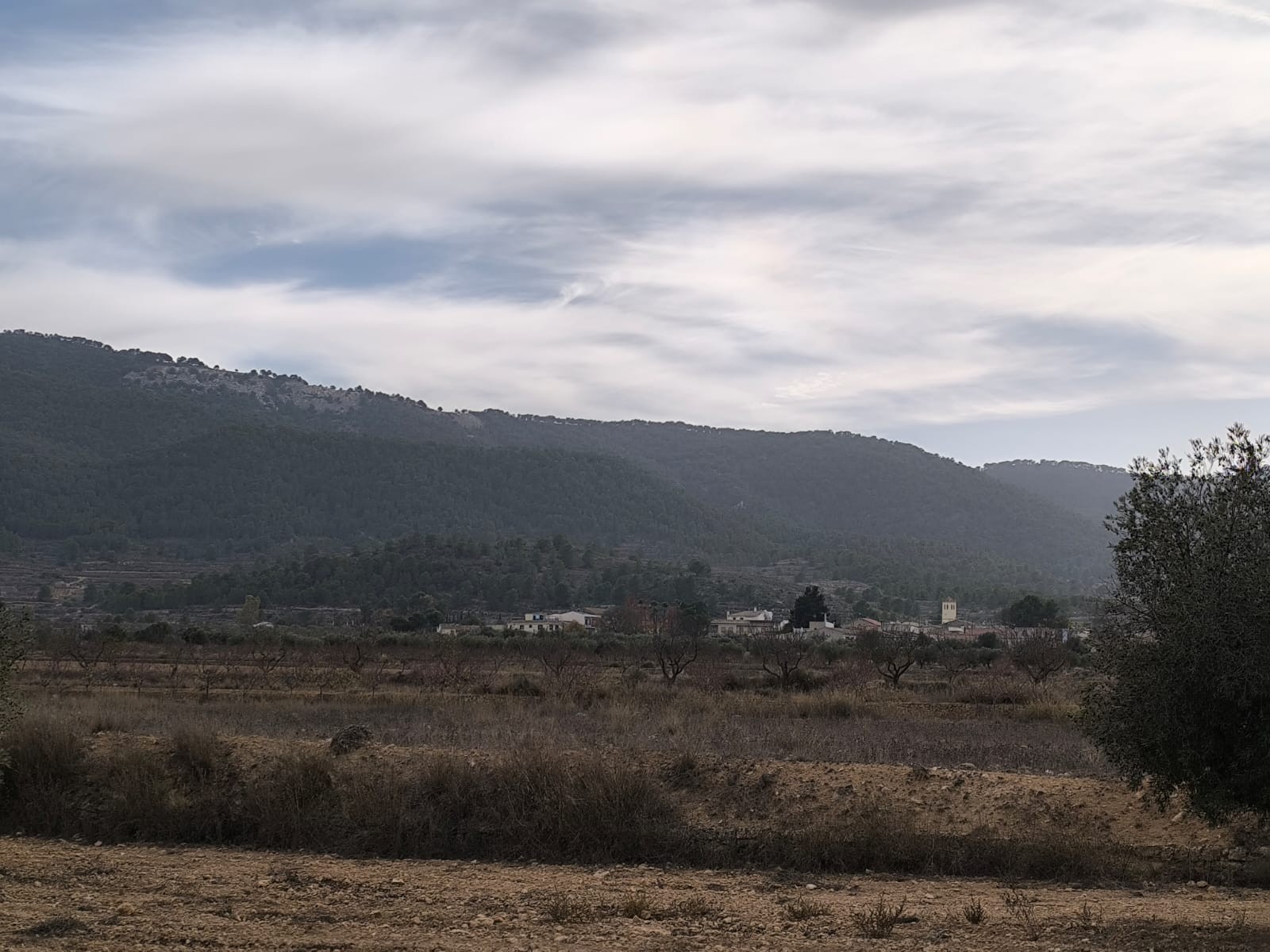 3 Soverom villa in Monovar