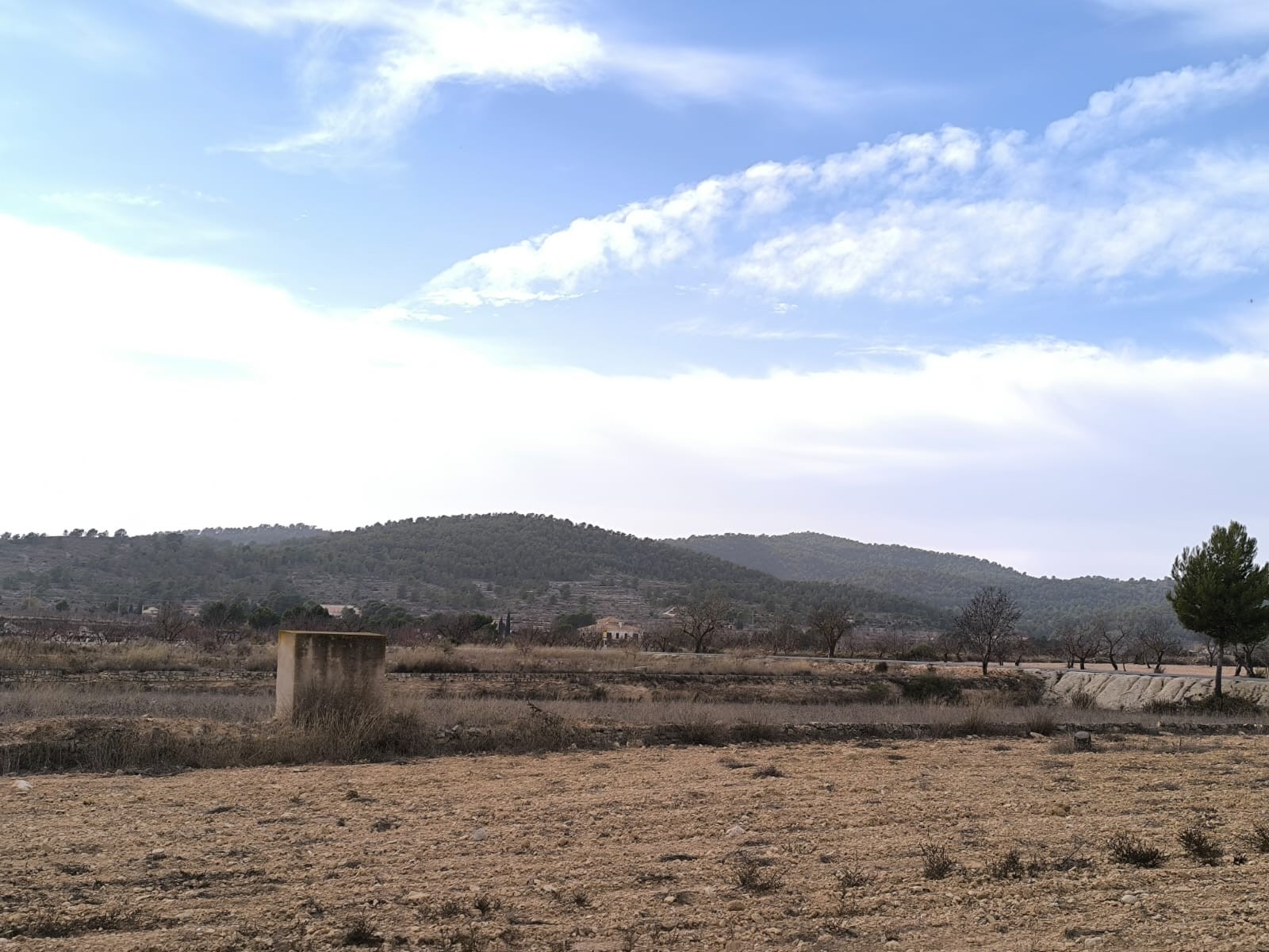 3 Soverom villa in Monovar