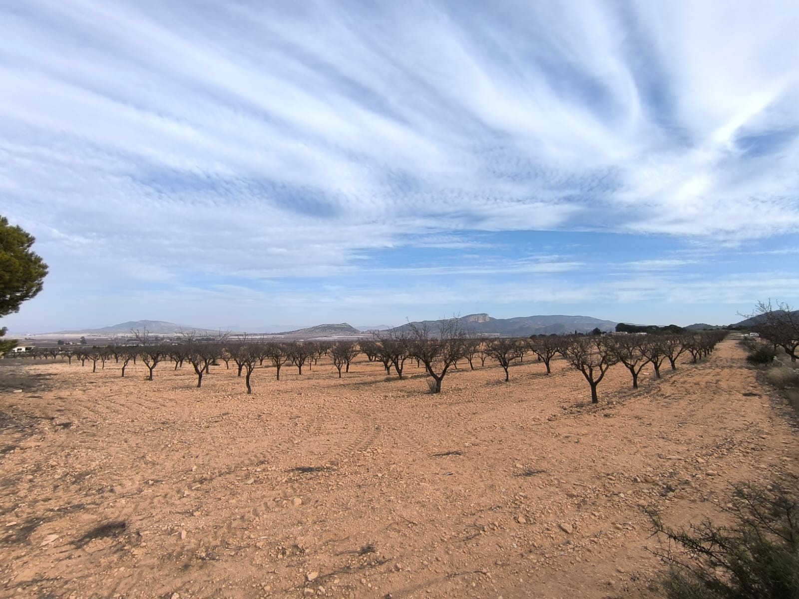 3 Soverom villa in Monovar