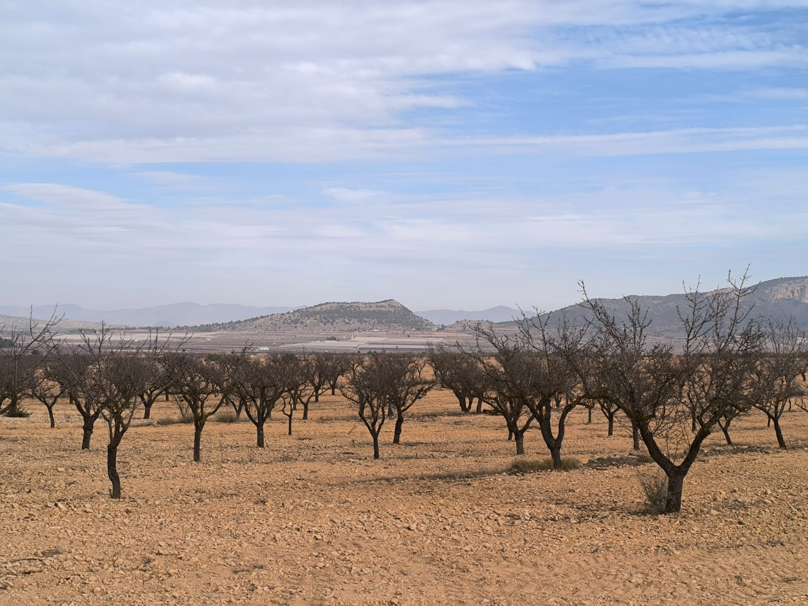 3 Soverom villa in Monovar