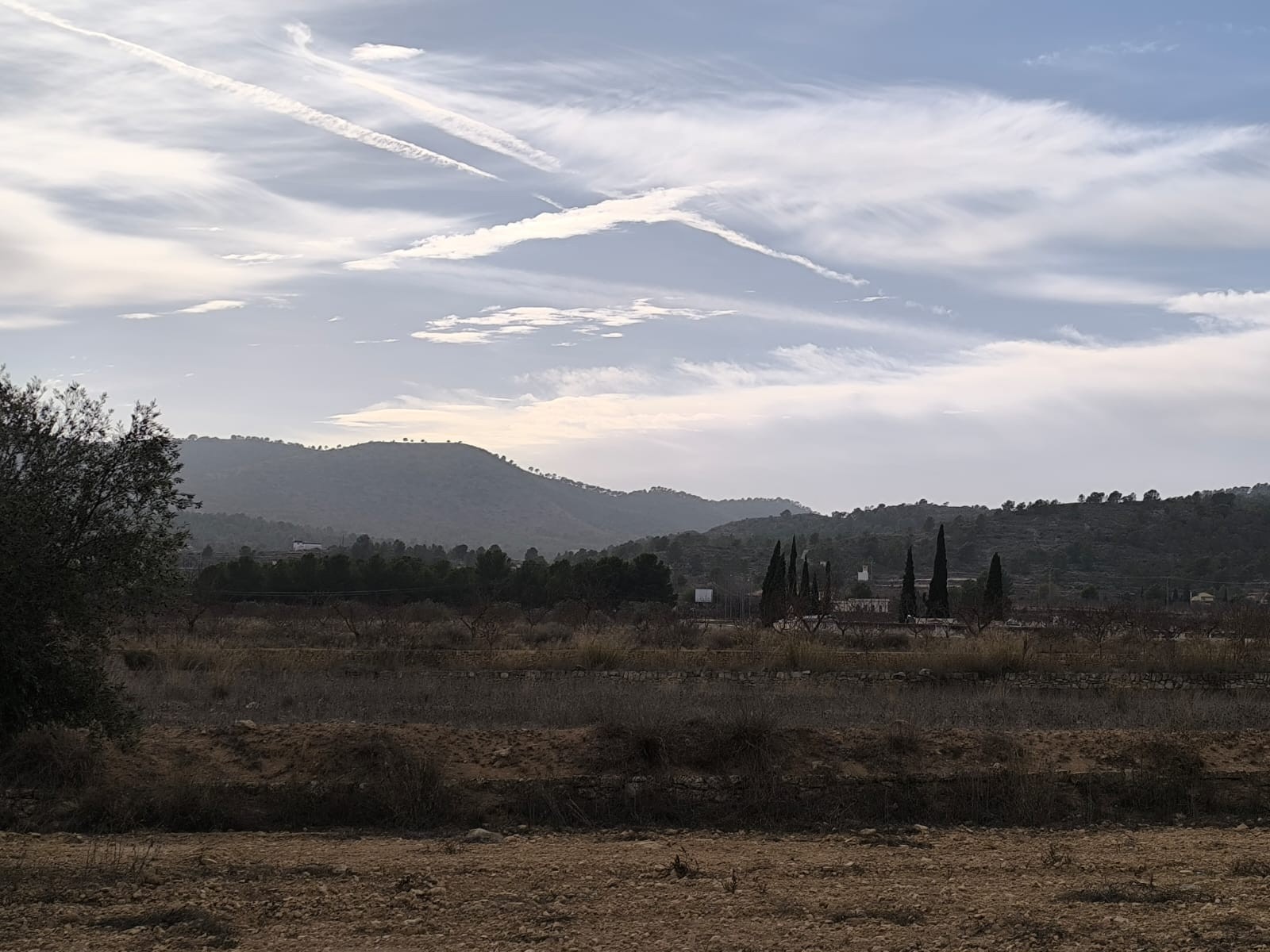 3 Soverom villa in Monovar