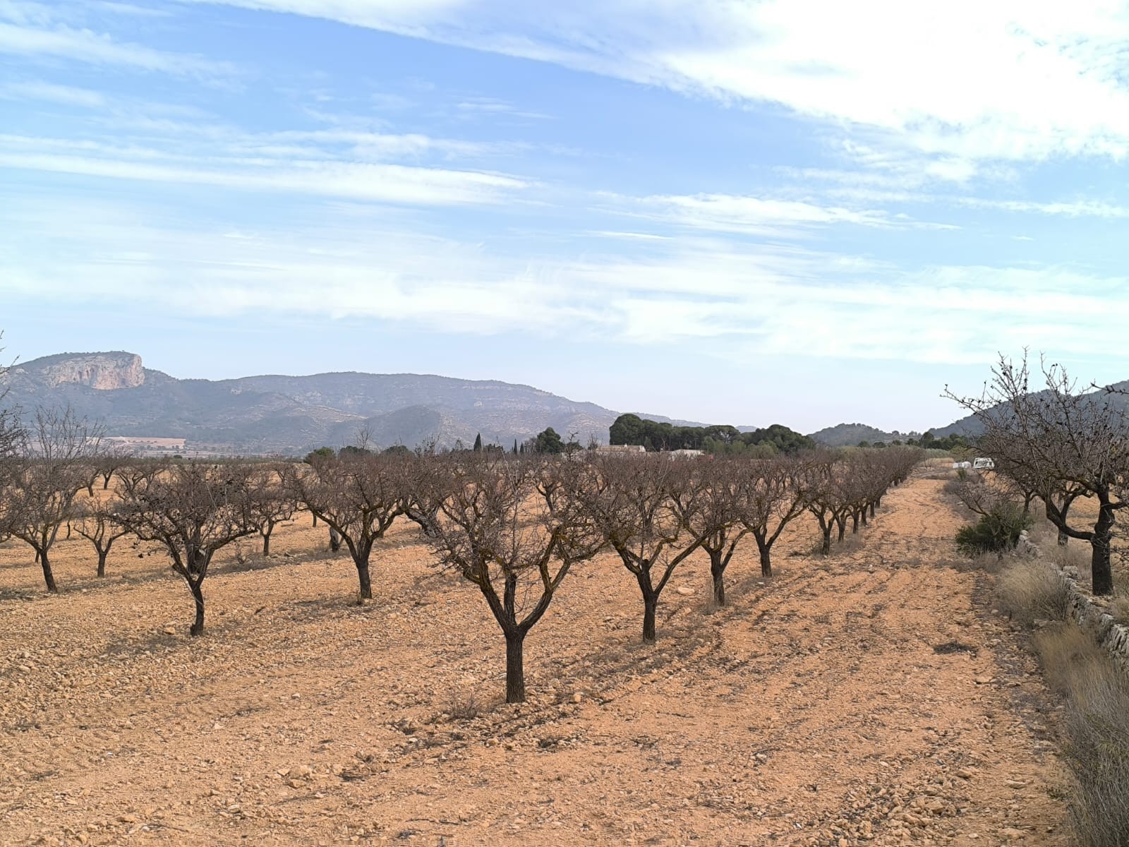 3 Soverom villa in Monovar