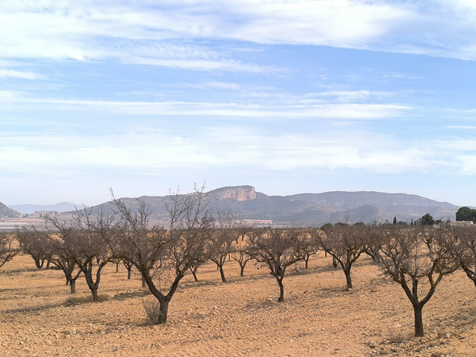 3 Soverom villa in Monovar