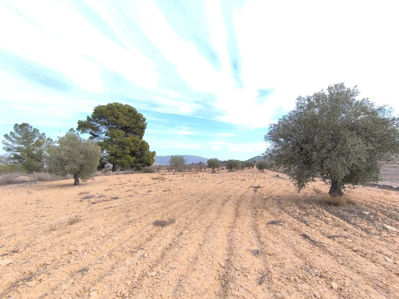 3 Soverom villa in Monovar