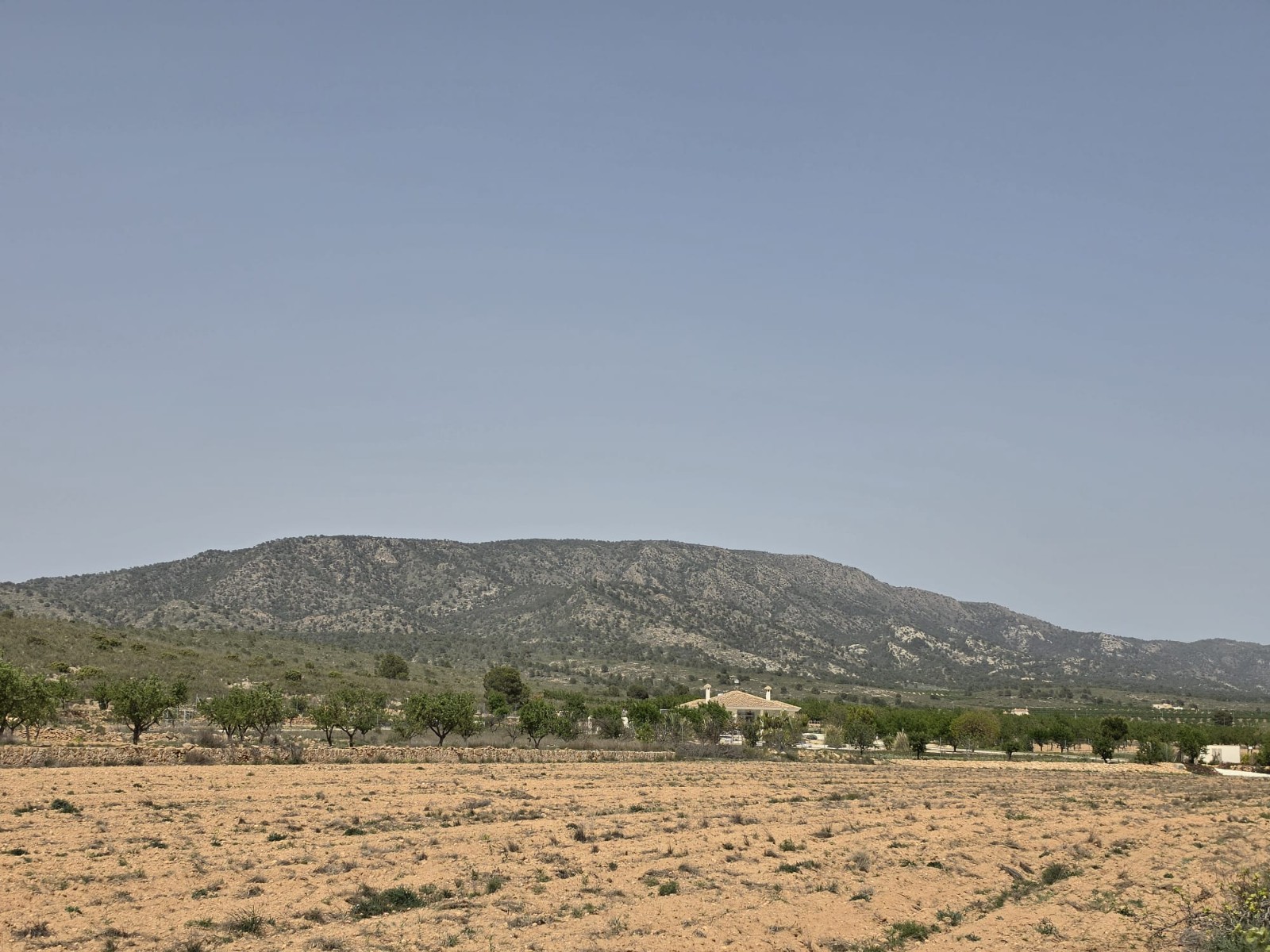 Land in Pinoso - view 1