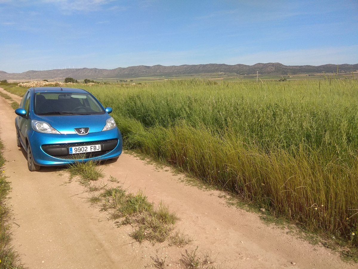 Land in Santa Cruz - Image 5