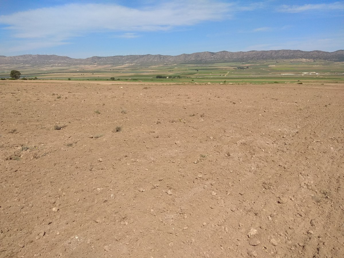 Land in Santa Cruz - Image 2