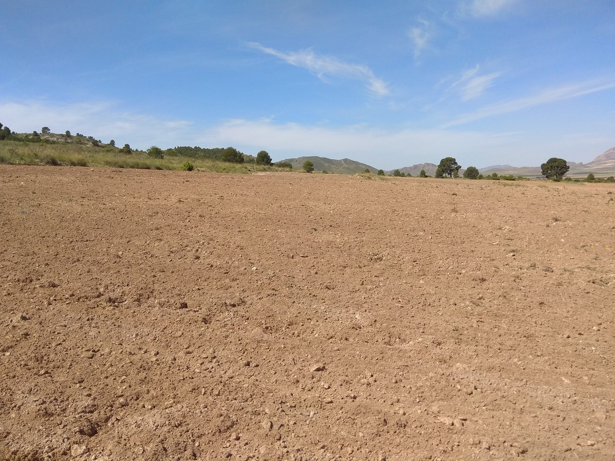 Land in Santa Cruz - Image 4