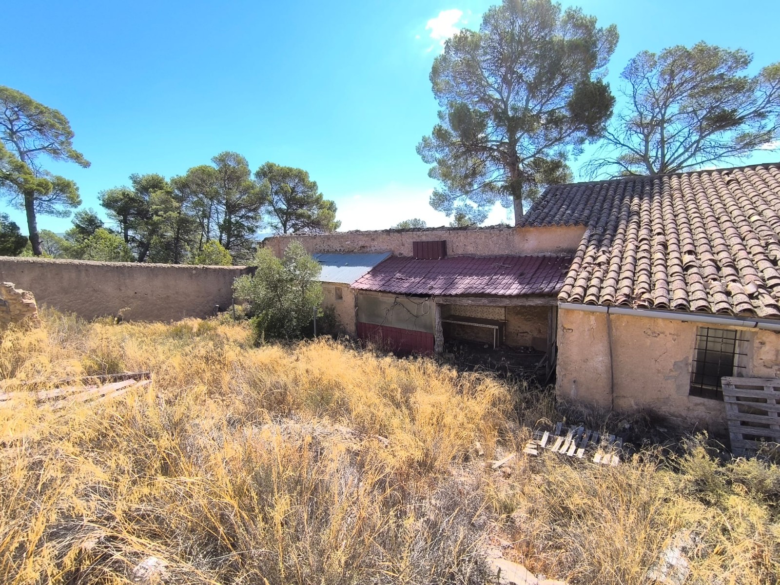 House in Caudete - Image 5