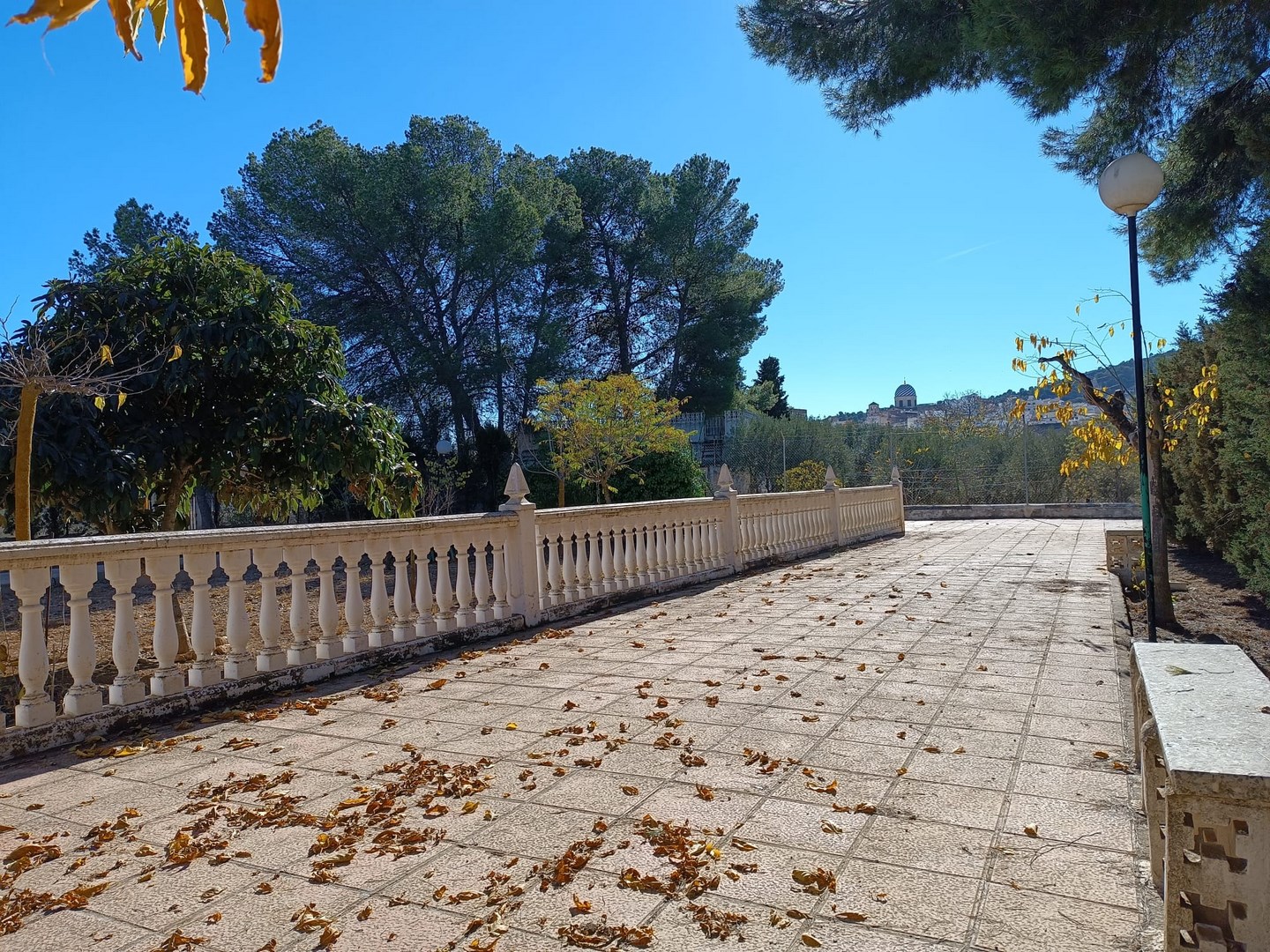 Villa in Yecla - Image 3