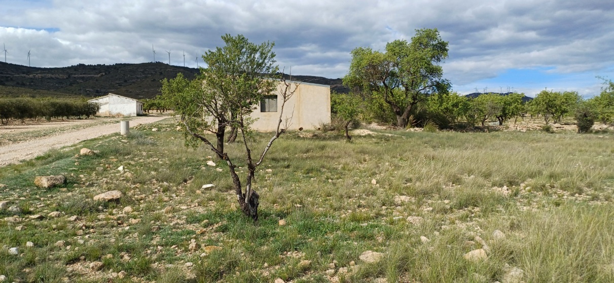 House in Caudete - Image 2