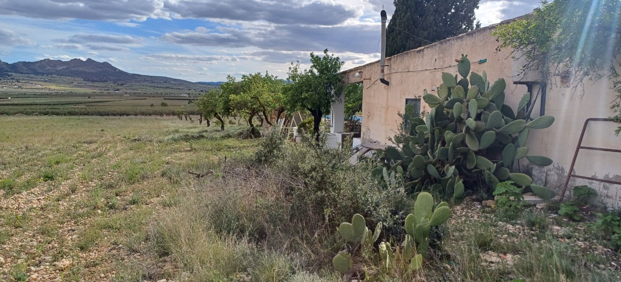 House in Caudete - Image 5