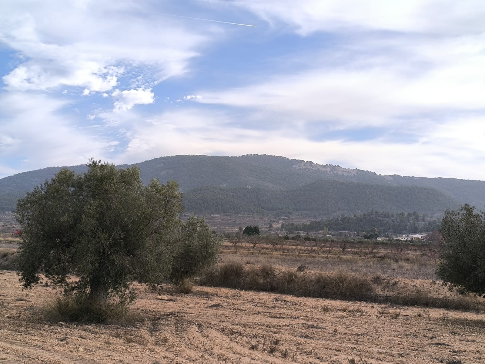 3 Soverom villa in Monovar