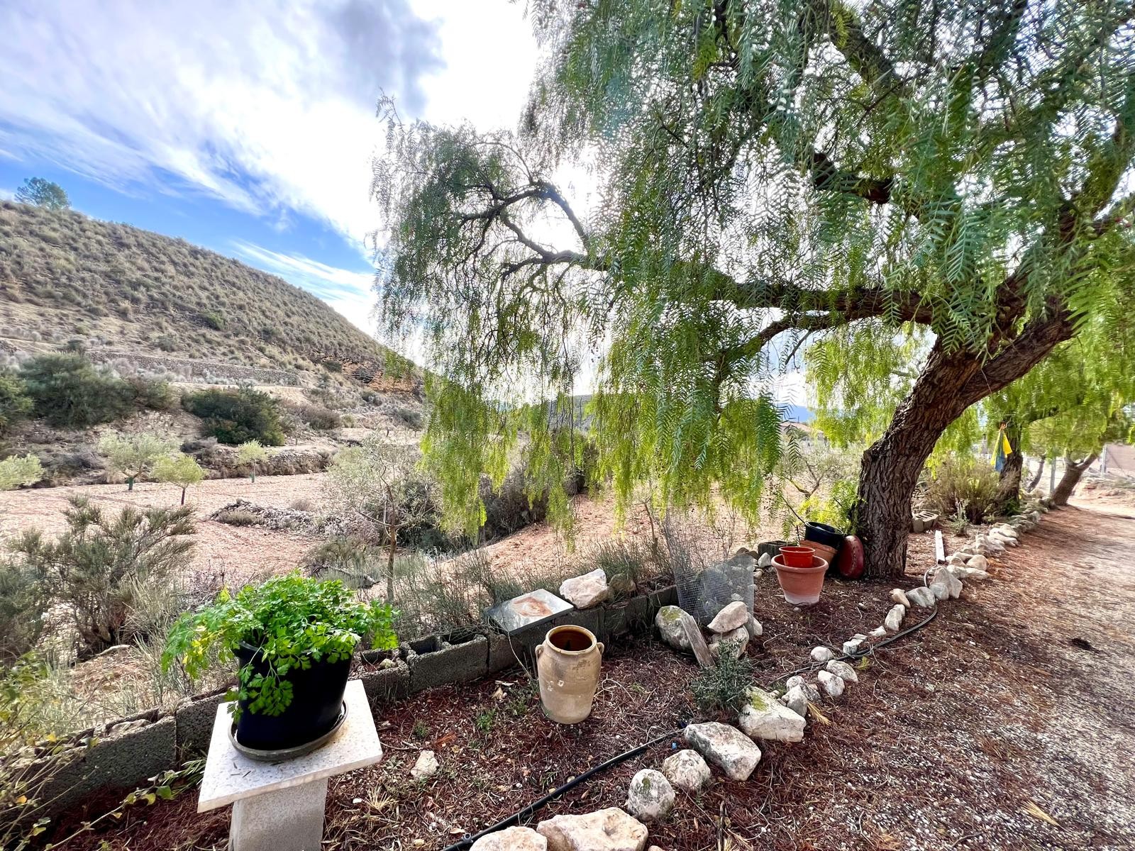 3 Schlafzimmer Landhaus in Monovar