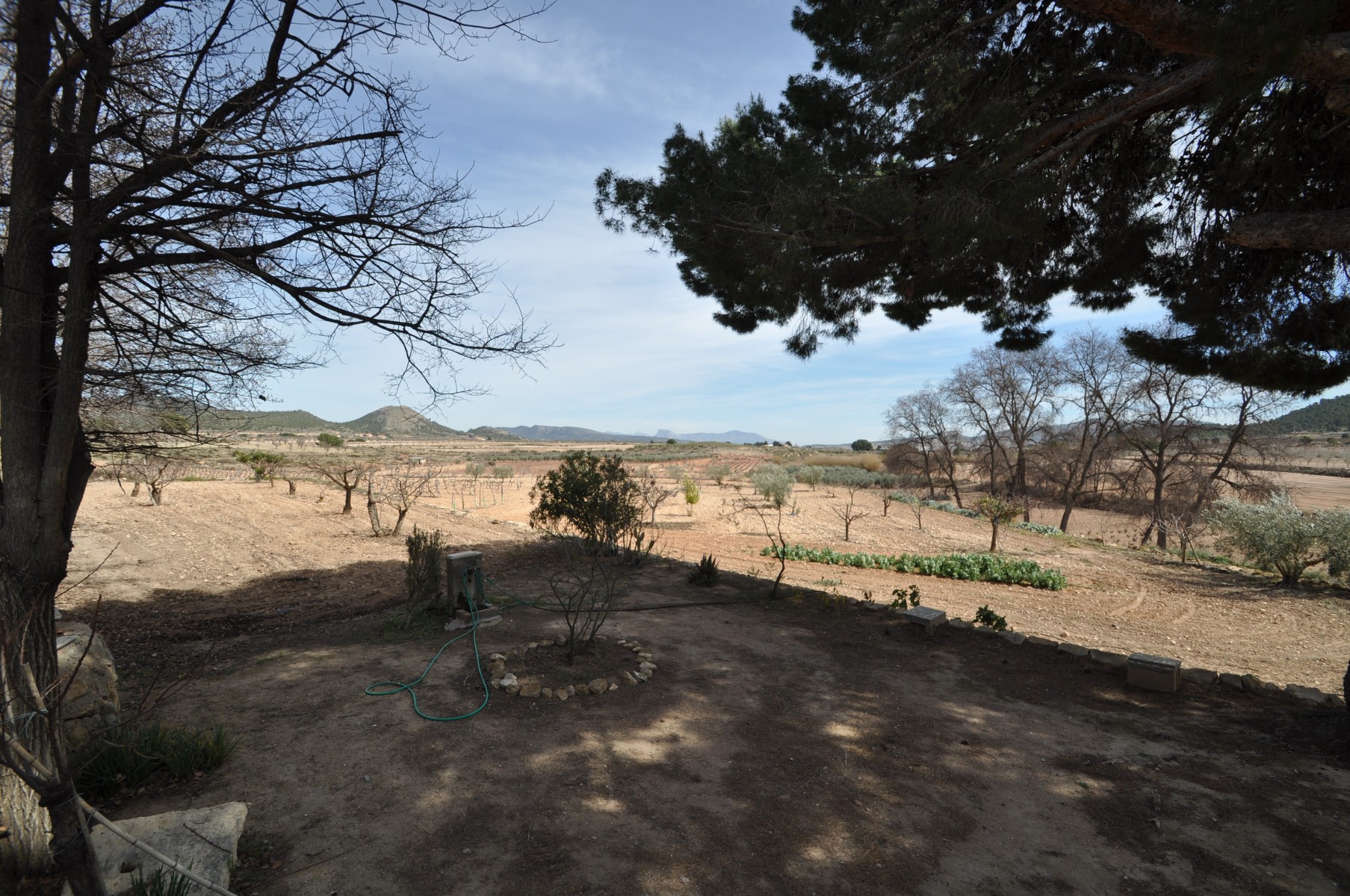 Property 88