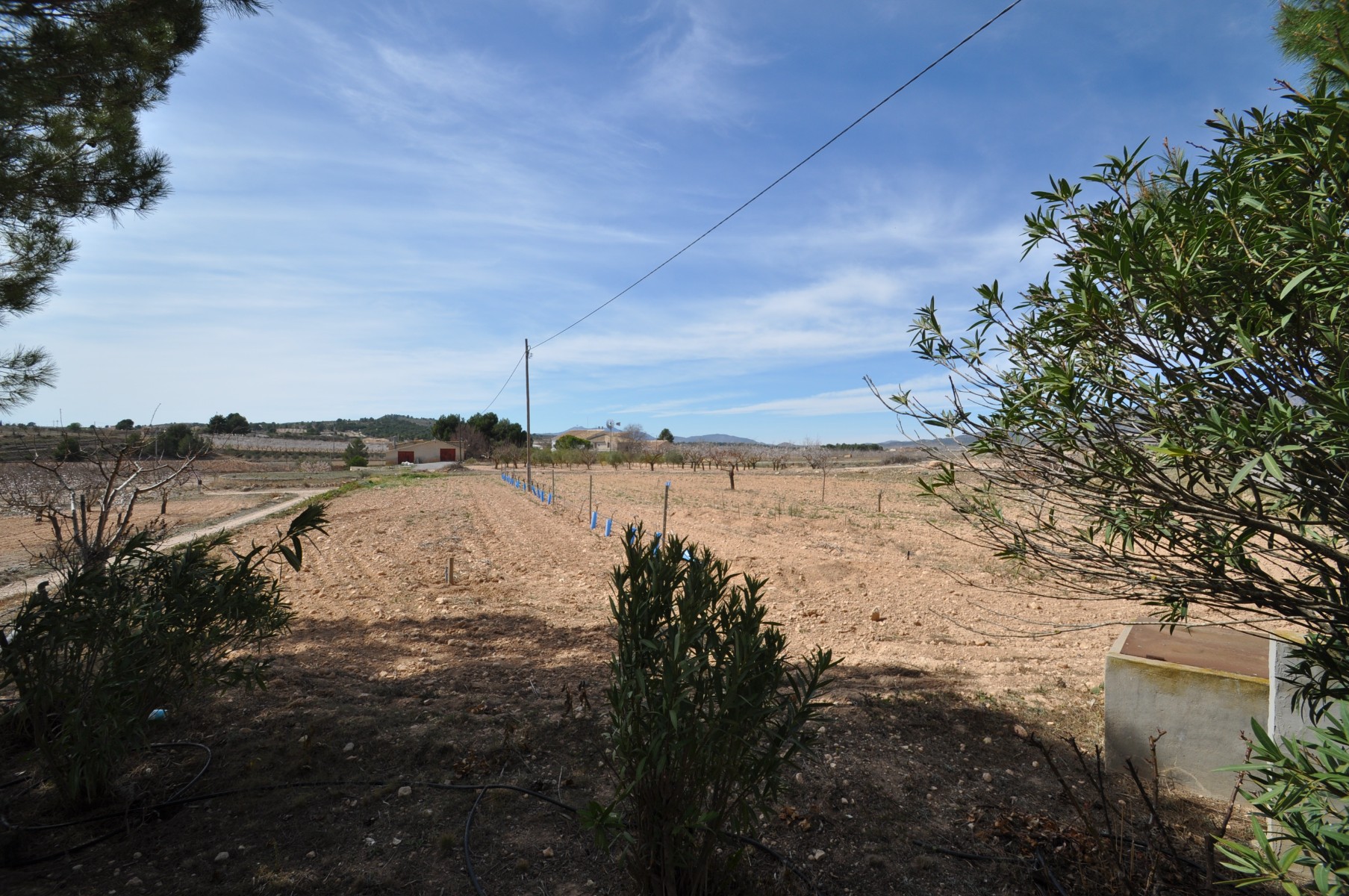 Property 89