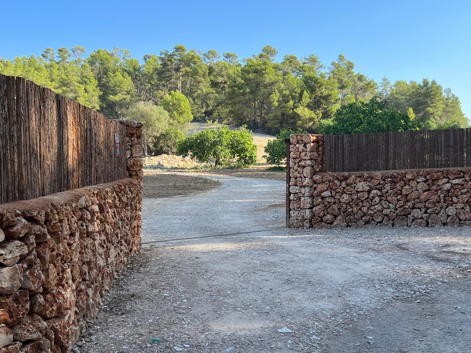 Land in Porreres - view 1