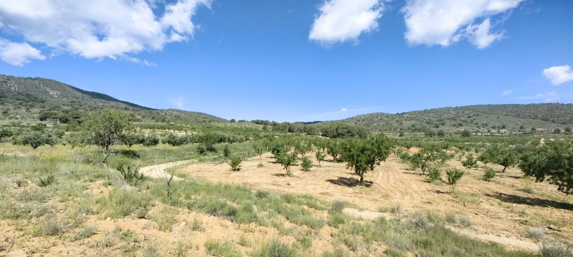 Property 2