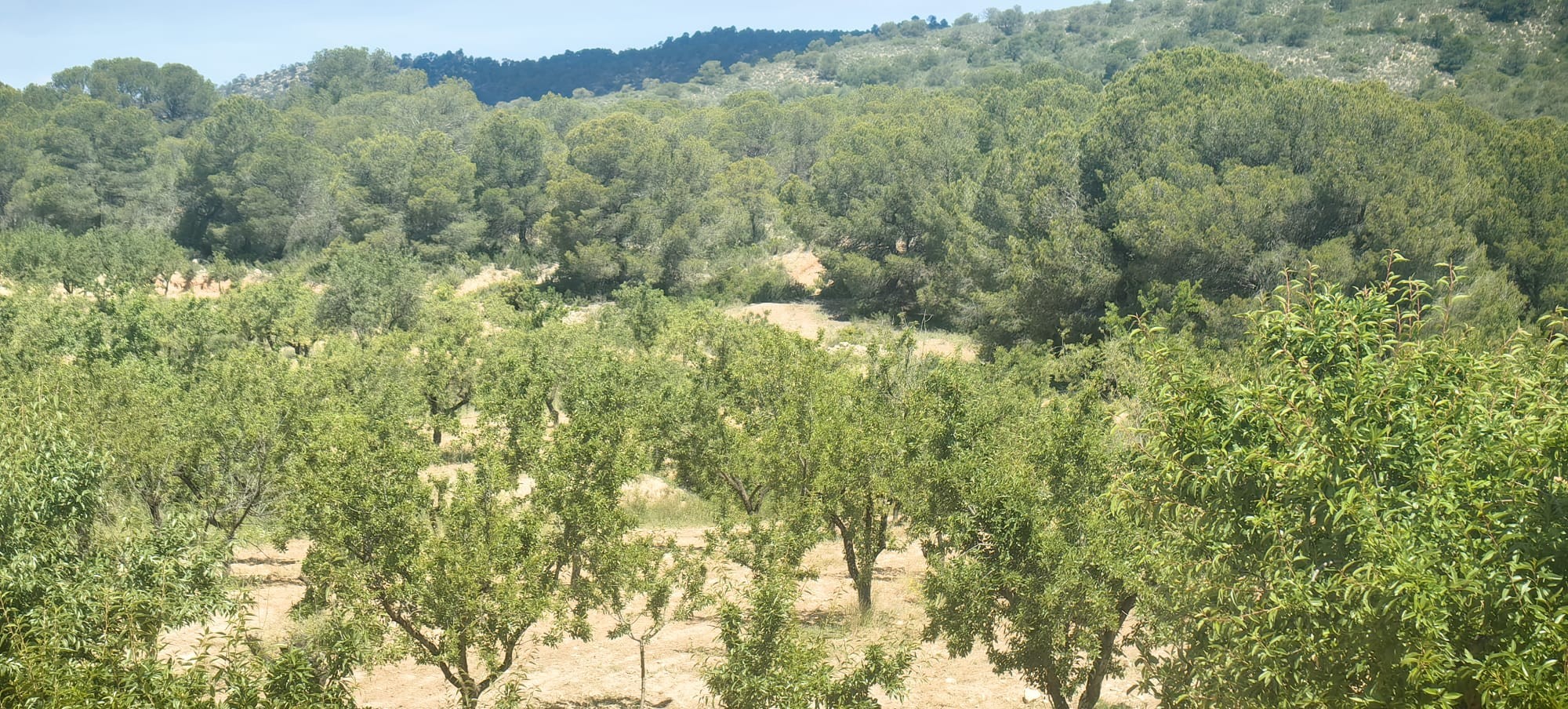 Property 4