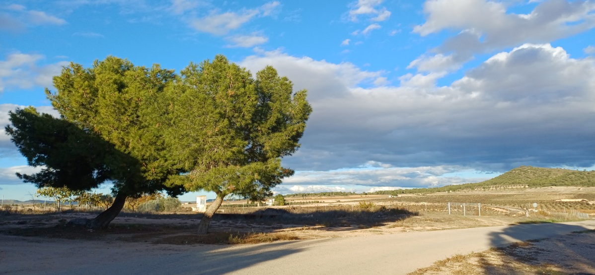 Property 14