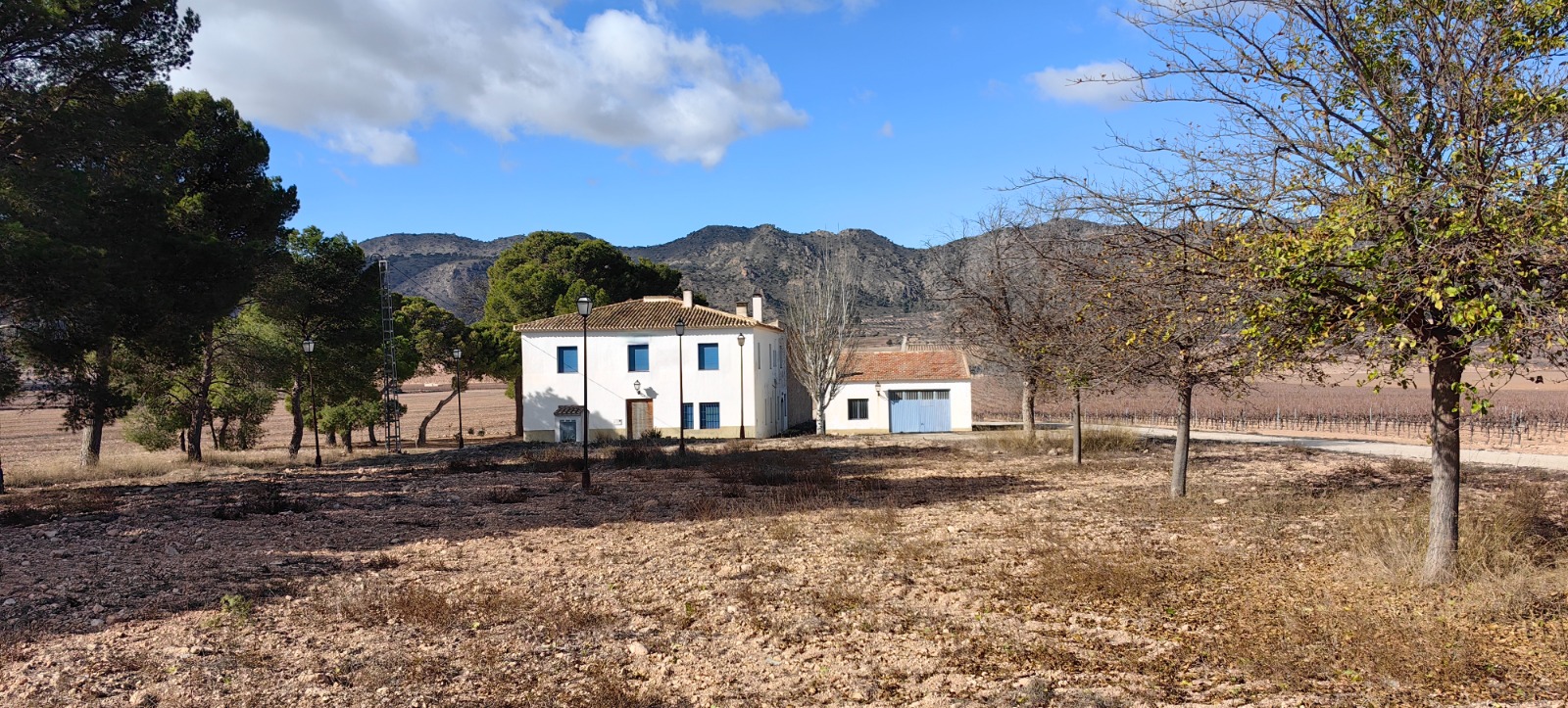 Propiedad 30