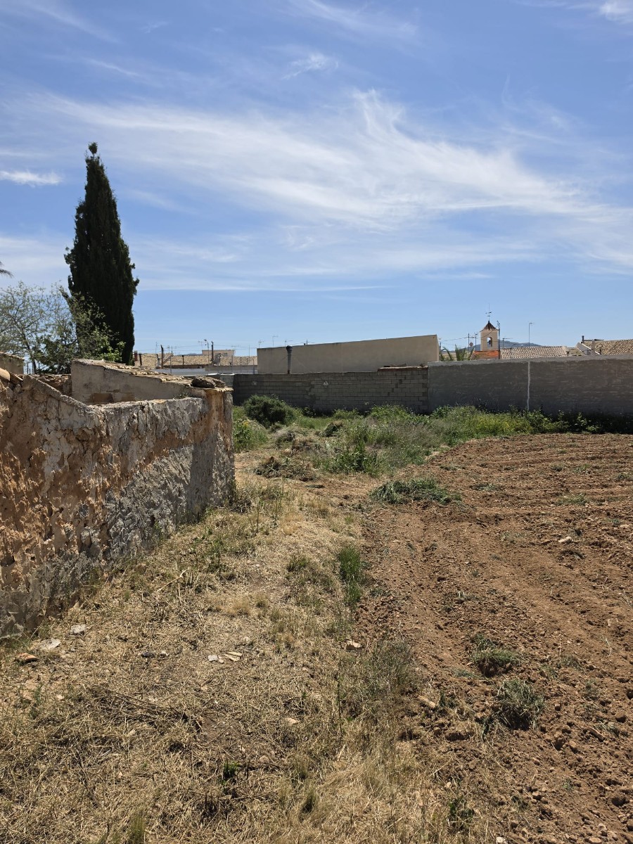 Propriedade 37