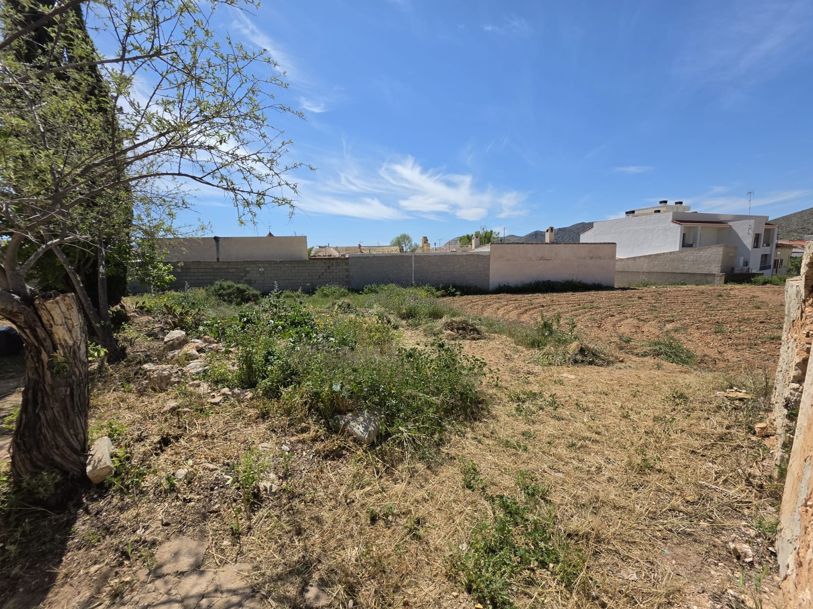 Propriedade 32