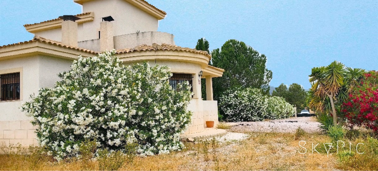 woningen