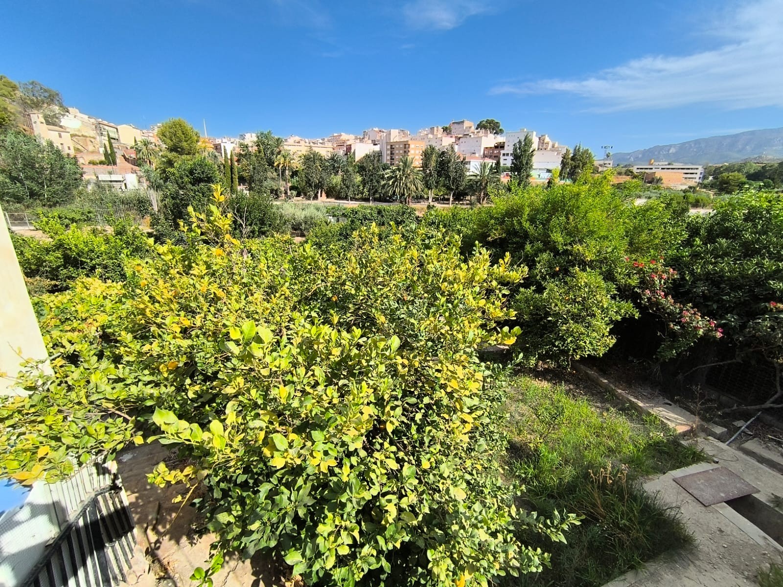 Huis te koop in Abarán