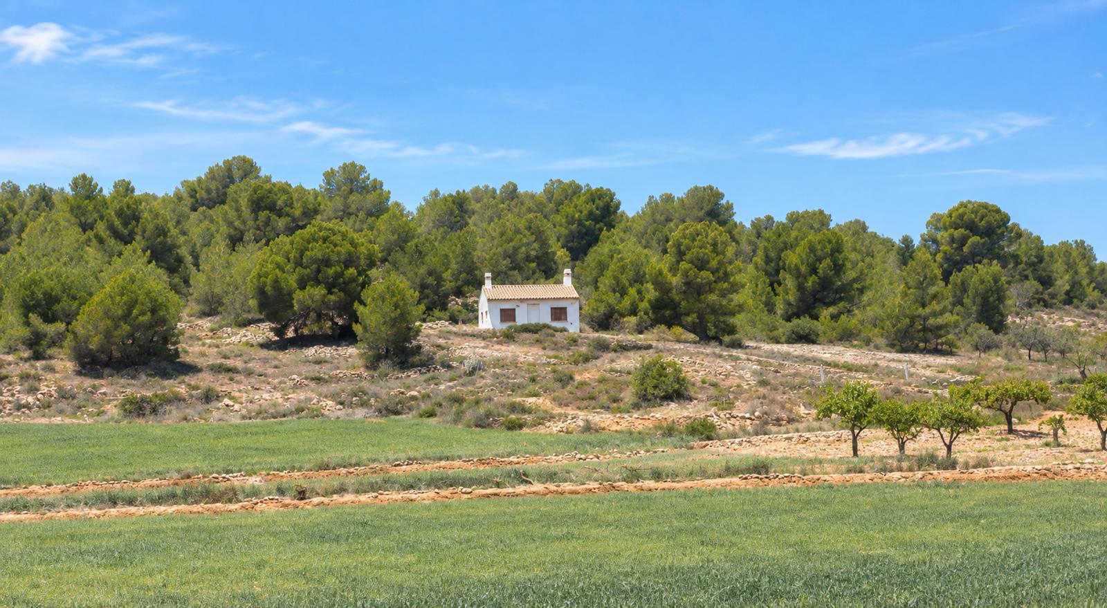 Woning te koop in Pinoso/El Pinós, Alicante