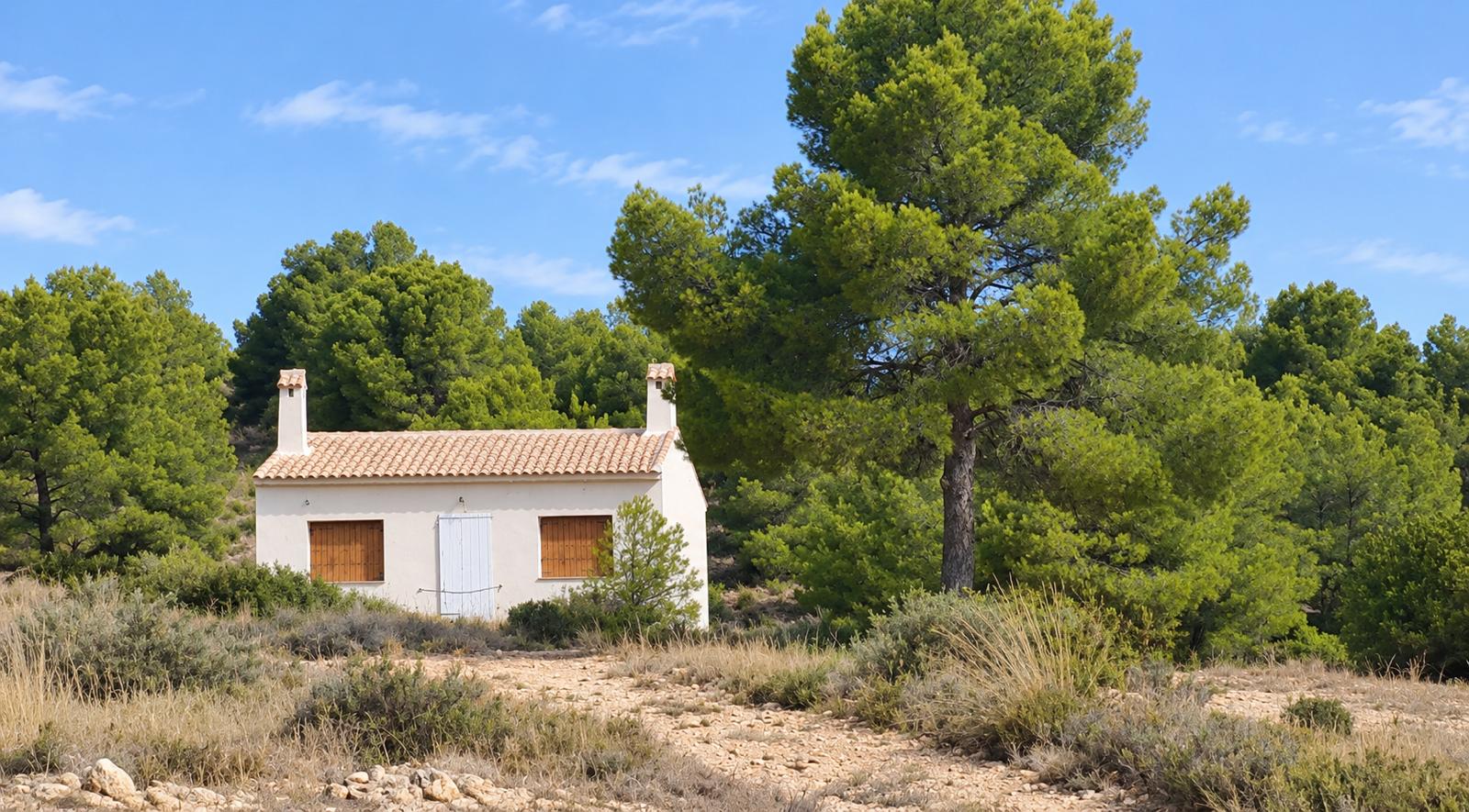 Woning te koop in Pinoso/El Pinós, Alicante